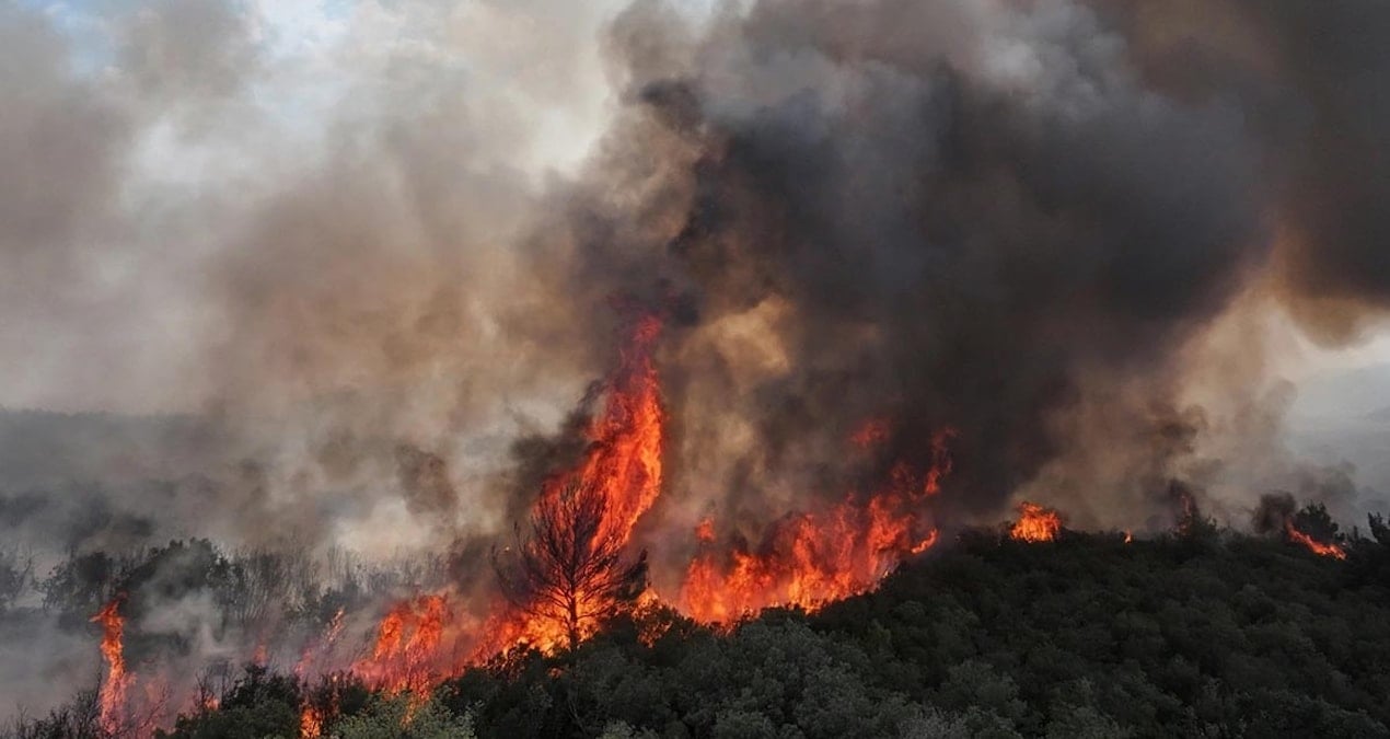edirne ipsalada aniz yangini agaclik alana sicradi jHz5FSme