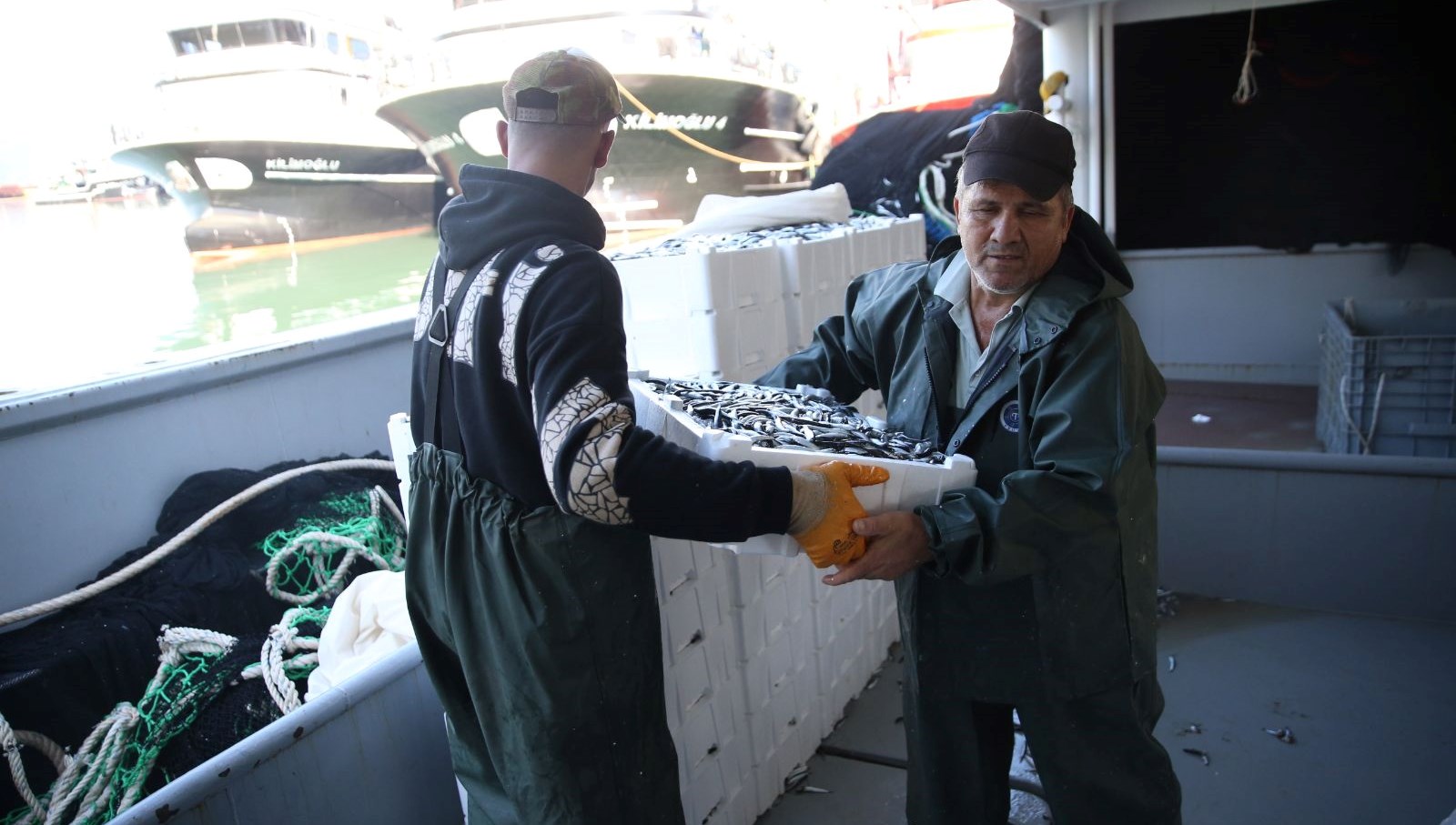 karadenizde hamsi bereketi kilosu 100 150 lira dSJnlfBD