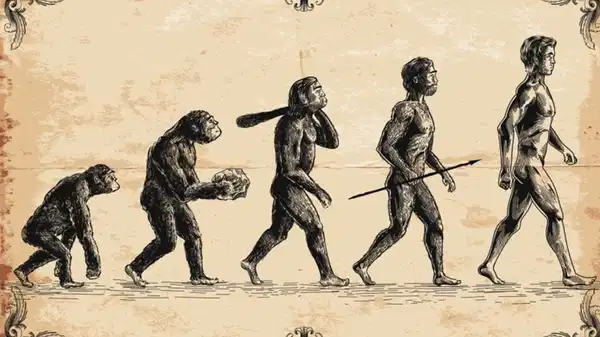 44 milyon yillik ayak bilegi kemigi insan evrimine isik tutuyor Iq9ZwC8r.jpg