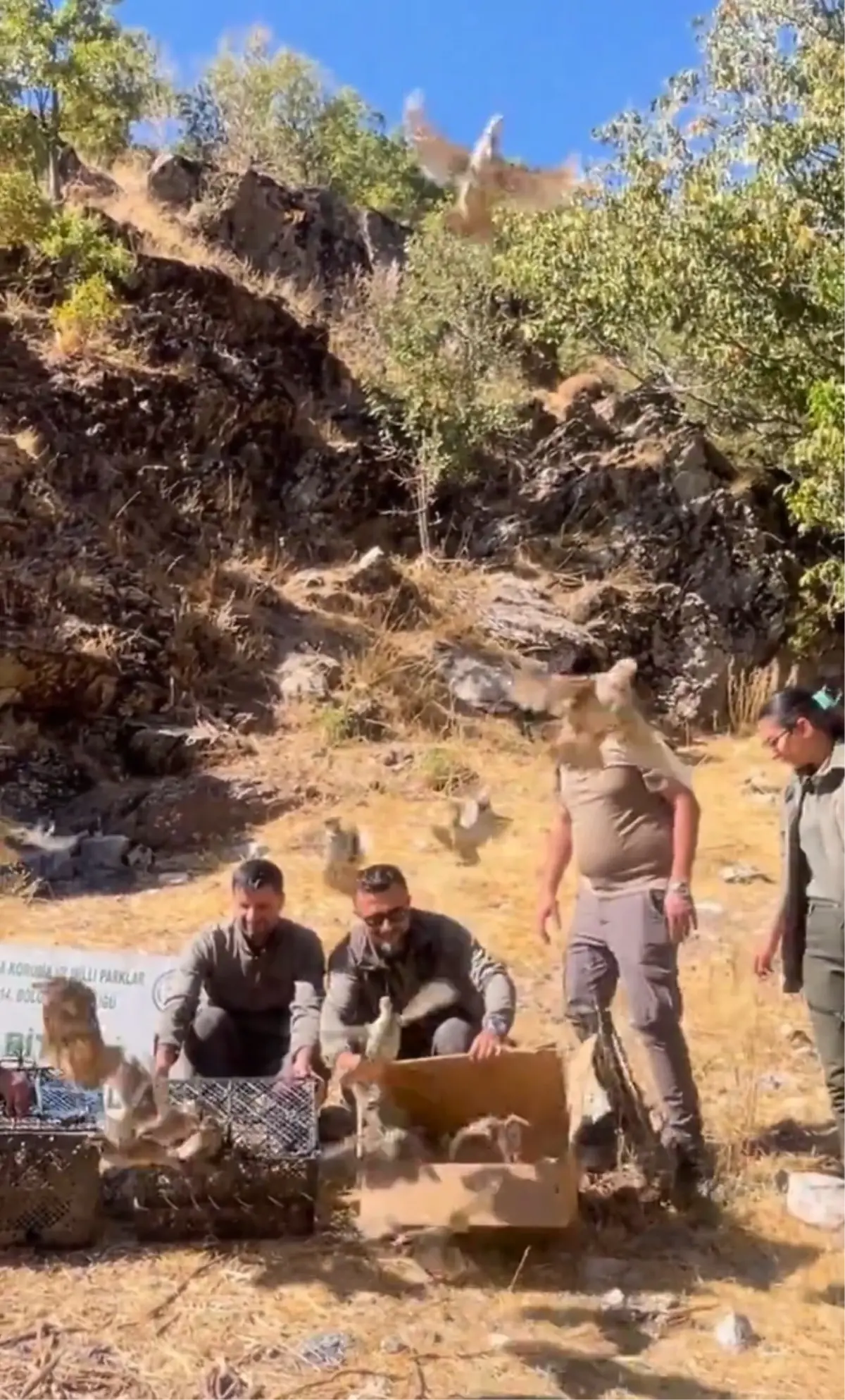 bitliste 90 kinali keklik dogaya salindi k42gRieF