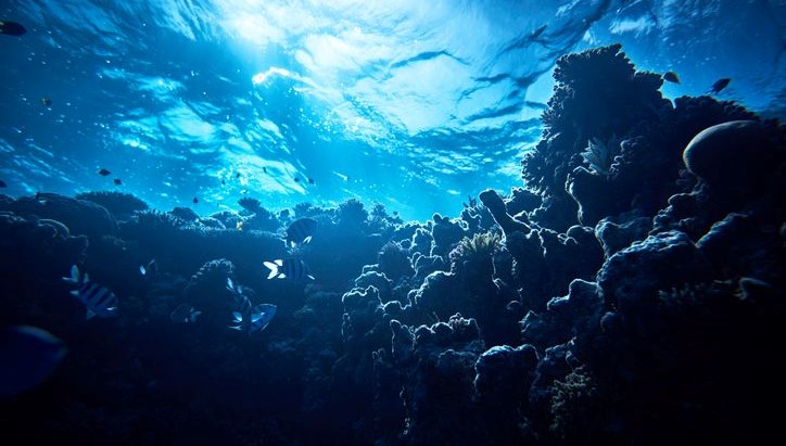 okyanusun altindan siziyor antarktikada sasirtan kesif isha2hBm