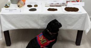 tokatta-uyusturucu-operasyonu-cok-sayida-gozalti-mh6c2YDt