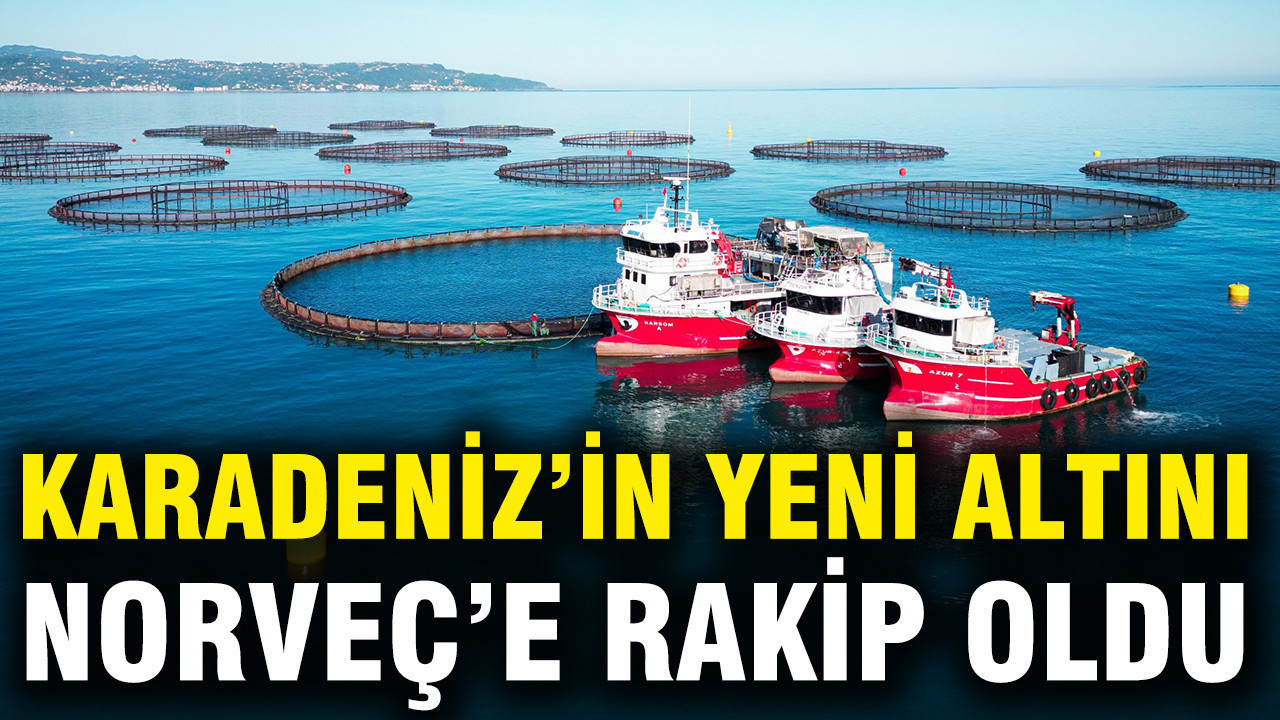 Karadeniz’in Yükselen Yıldızı: Türk Somonuna Yüksek Talep