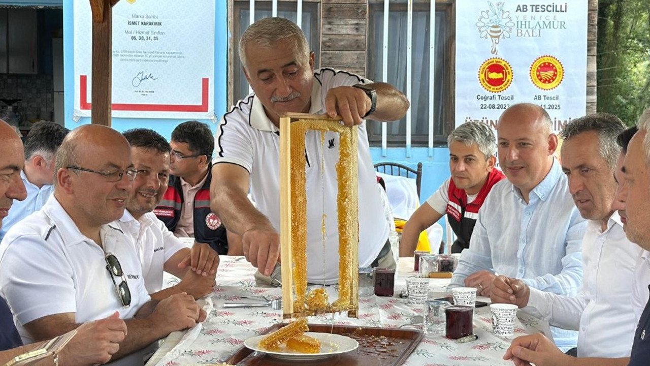 Haber gorseli